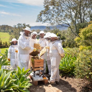 Bowral Beekeeping, gardening and pickling and fermentation teacher